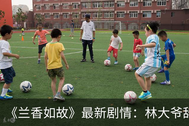 《兰香如故》最新剧情：林大爷辞官回金陵，结婚3年才圆房