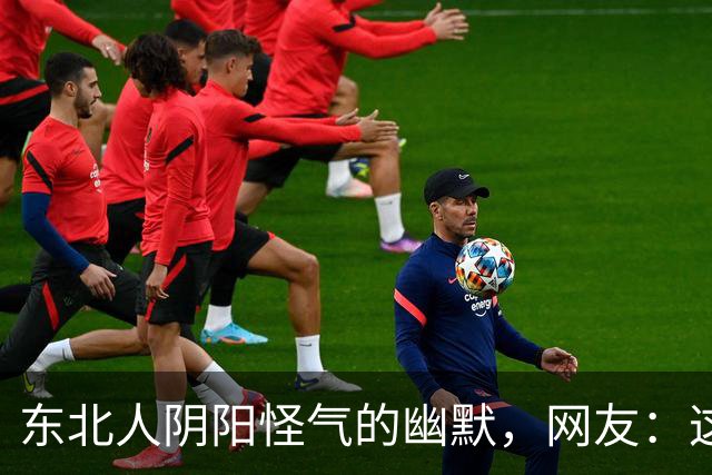 东北人阴阳怪气的幽默，网友：这形容词我一辈子都想不起来！