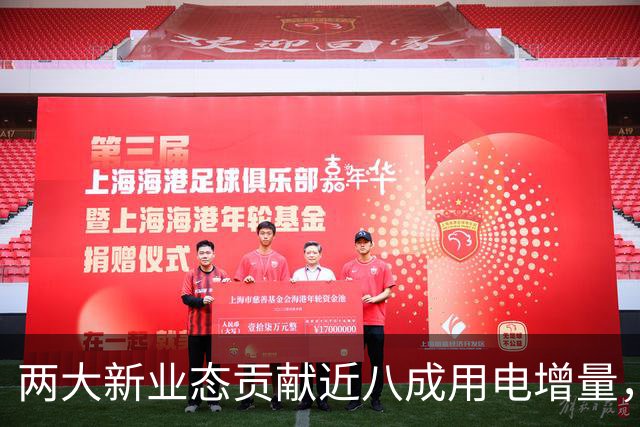 两大新业态贡献近八成用电增量，电力消费增长换了“引擎”
