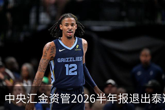 中央汇金资管2026半年报退出泰达股份前十大股东名单