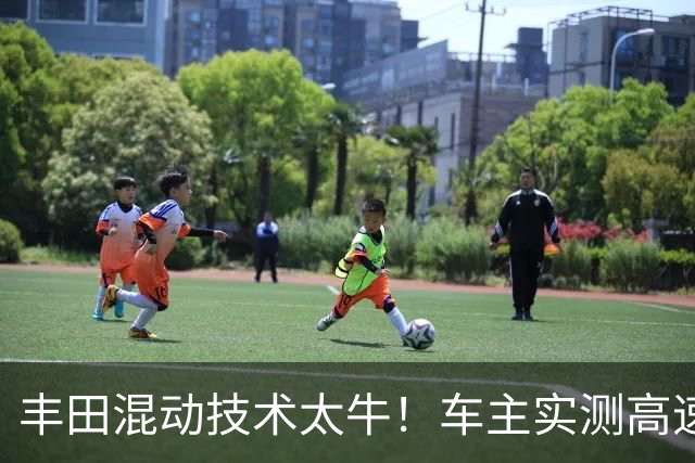 丰田混动技术太牛！车主实测高速顶着限速跑，百公里4.2L油！