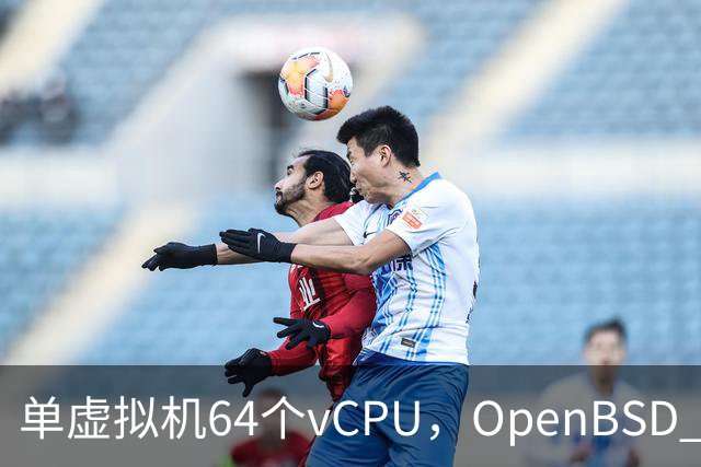 单虚拟机64个vCPU，OpenBSD 8.0把虚拟化拉满了