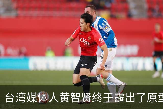 台湾媒体人黄智贤终于露出了原型，全力帮助绿营助选！