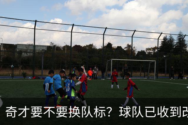 奇才要不要换队标？球队已收到改版请求，球迷投票定夺