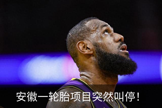 安徽一轮胎项目突然叫停！