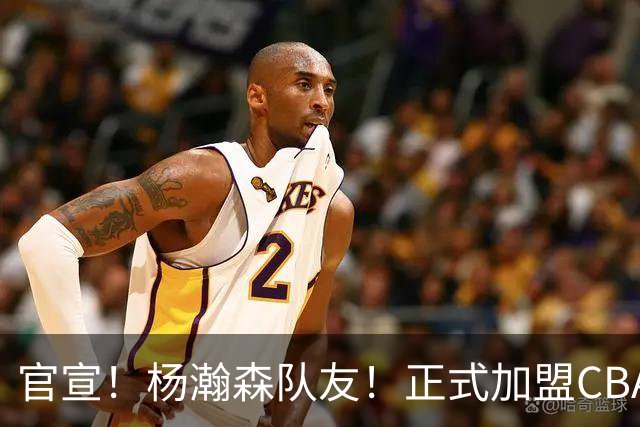 官宣！杨瀚森队友！正式加盟CBA北控队