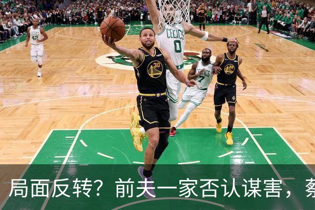 局面反转？前夫一家否认谋害，蔡天凤现任被曝猛料，网友：我的天