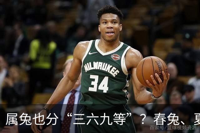 属兔也分“三六九等”？春兔、夏兔、秋兔、冬兔，差距到底在哪里