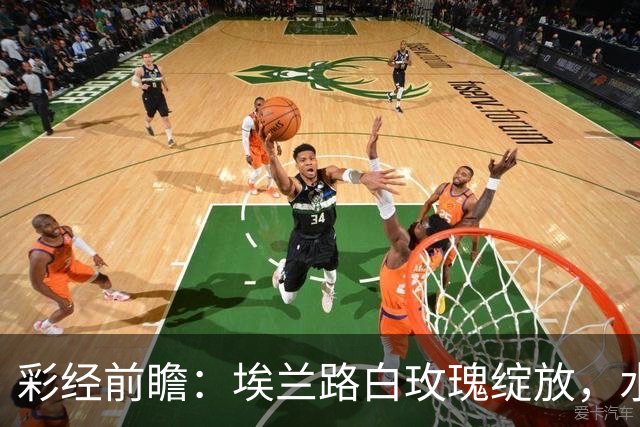 彩经前瞻：埃兰路白玫瑰绽放，水晶宫老鹰折翼！看好利兹联主场取胜