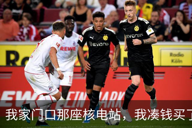我家门口那座核电站，我凑钱买了点中国核电的股票当邻居股东