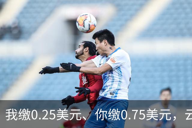 我缴0.25美元、你缴0.75美元，云图控股携手藏格矿业闯非洲：拟1美元注册公司，再掏1.7亿美元收购刚果（布）钾盐项目