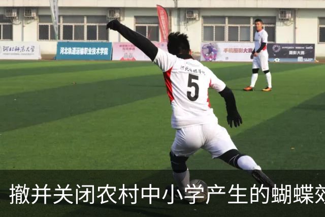 撤并关闭农村中小学产生的蝴蝶效应