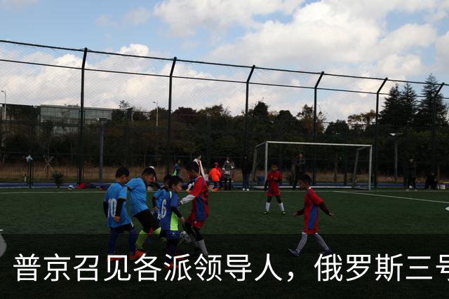 普京召见各派领导人，俄罗斯三号人物已定，梅德韦杰夫也没意见