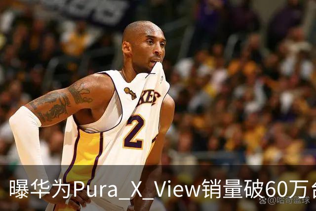 曝华为Pura X View销量破60万台：独享阔直屏、网友调侃出一台卖一台，已开启60天预约申购