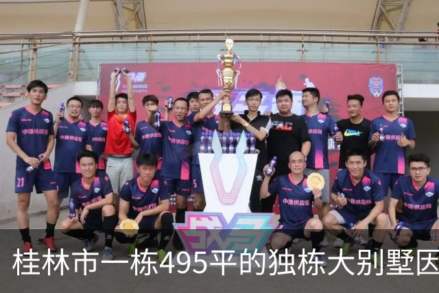 桂林市一栋495平的独栋大别墅因开发商破产第5次拍卖，199万成交