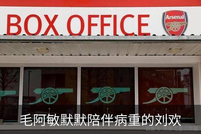毛阿敏默默陪伴病重的刘欢