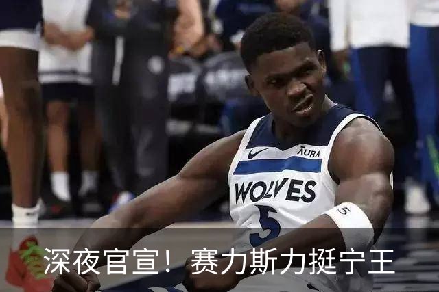 深夜官宣！赛力斯力挺"宁王"