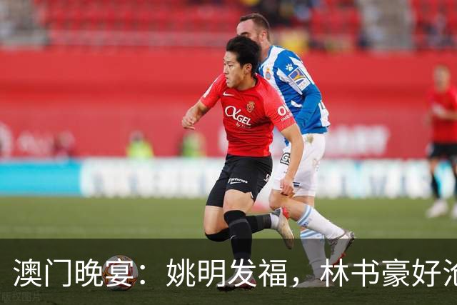澳门晚宴：姚明发福，林书豪好沧桑，成龙教老外功夫，何猷君也在