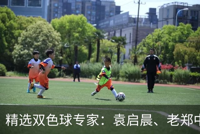 精选双色球专家：袁启晨、老郑中一等奖1033万！