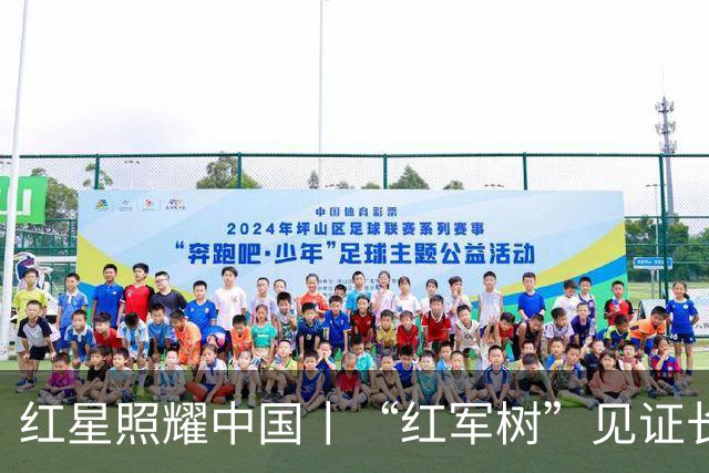 红星照耀中国丨“红军树”见证长征路