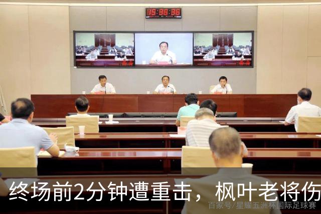 终场前2分钟遭重击，枫叶老将伤退未归