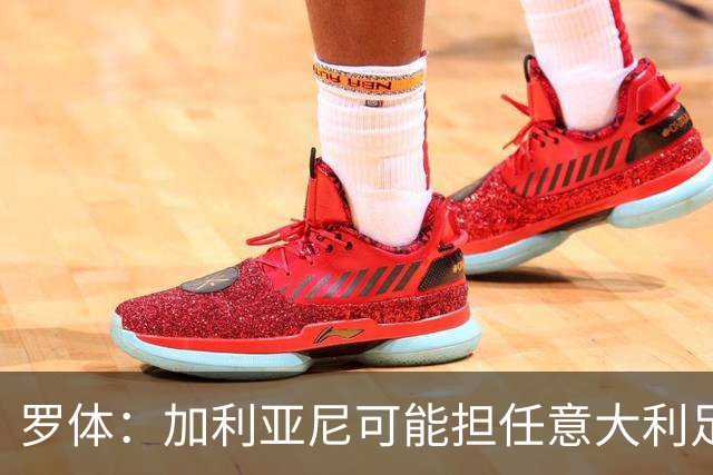 罗体：加利亚尼可能担任意大利足协托管人