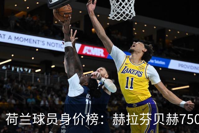 荷兰球员身价榜：赫拉芬贝赫7500万欧居首，加克波位居次席