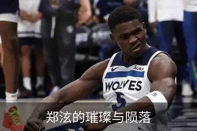 郑泫的璀璨与陨落