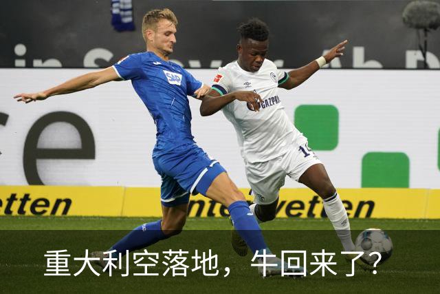 重大利空落地，牛回来了？