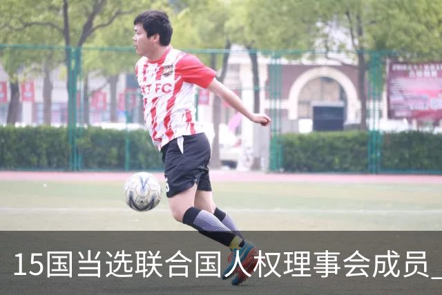 15国当选联合国人权理事会成员 其中6国连任